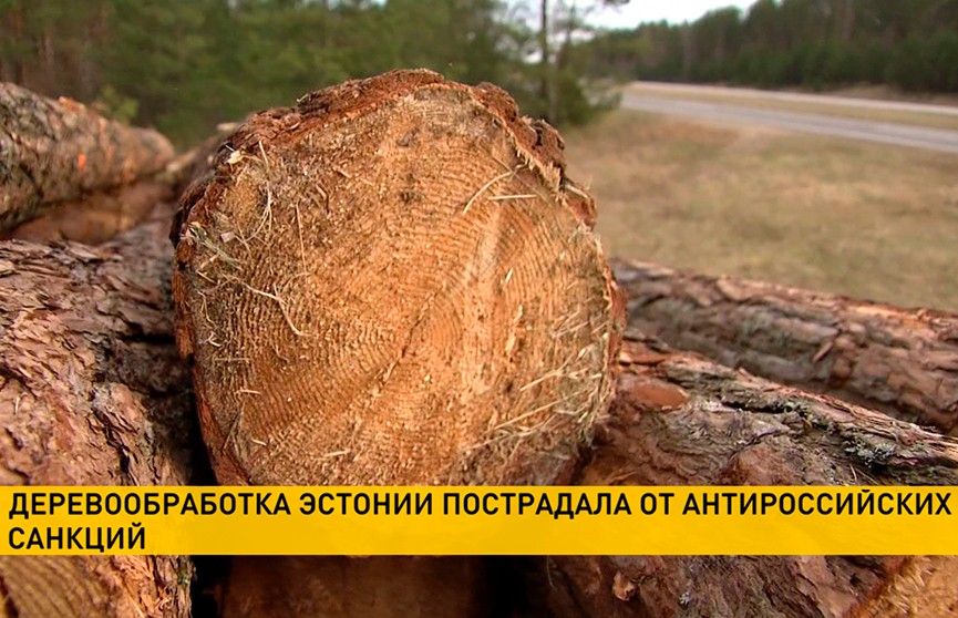 В Эстонии массово увольняют сотрудников деревообрабатывающей промышленности