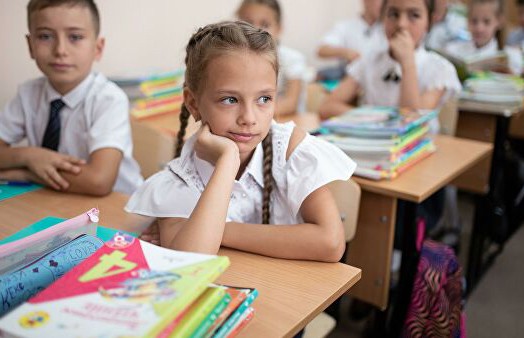 Министерство образования: около 40% учеников готовы прийти в школы, для остальных возможно удаленное обучение