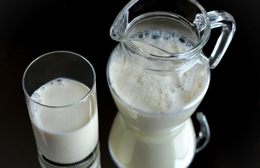 Латвийские предприятия молочной отрасли находятся на грани банкротства
