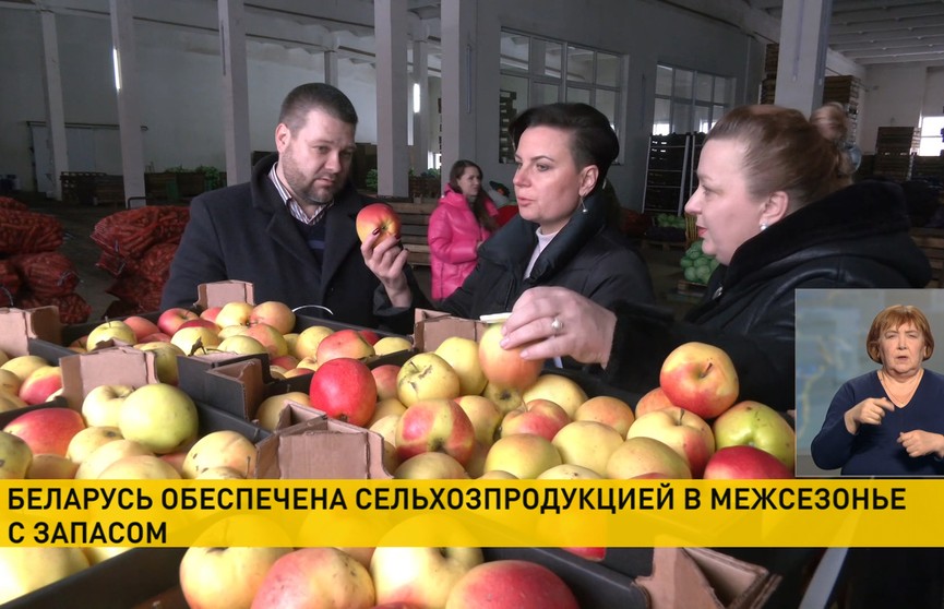 В межсезонье Беларусь обеспечена сельхозпродукцией с запасом