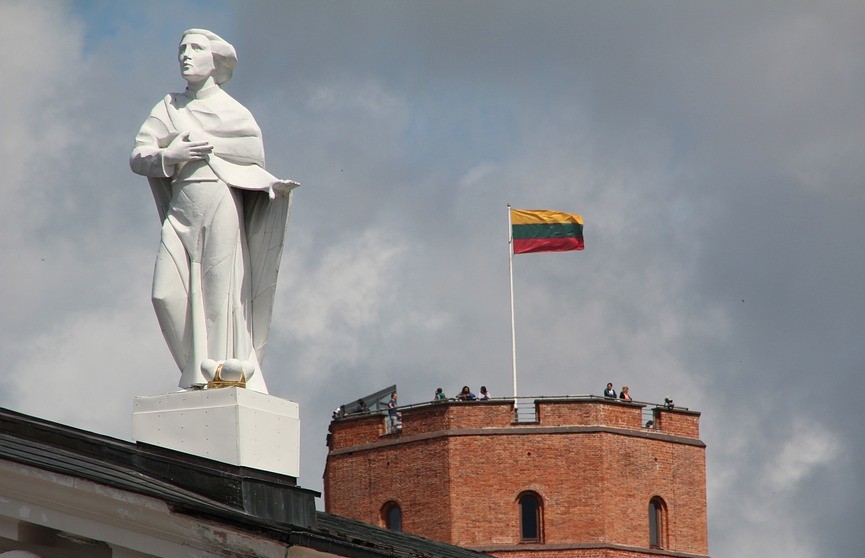 В 2024 году в Литве может пройти референдум о двойном гражданстве