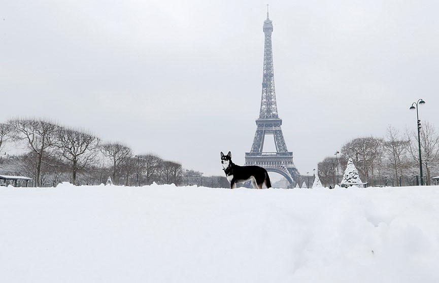 Эйфелеву башню закрыли для посетителей из-за снегопада