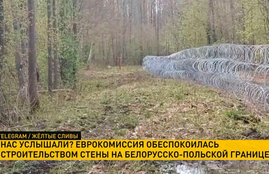 Еврокомиссия обеспокоилась строительством стены на границе с Беларусью