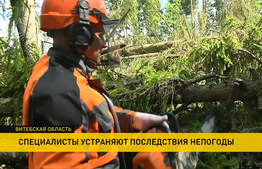 Поваленные деревья, разрушенные строения и жертвы непогоды в Витебской области. Как устраняют последствия урагана