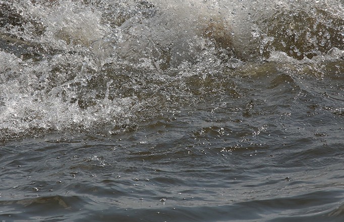 В Минске в реке Свислочь утонула женщина