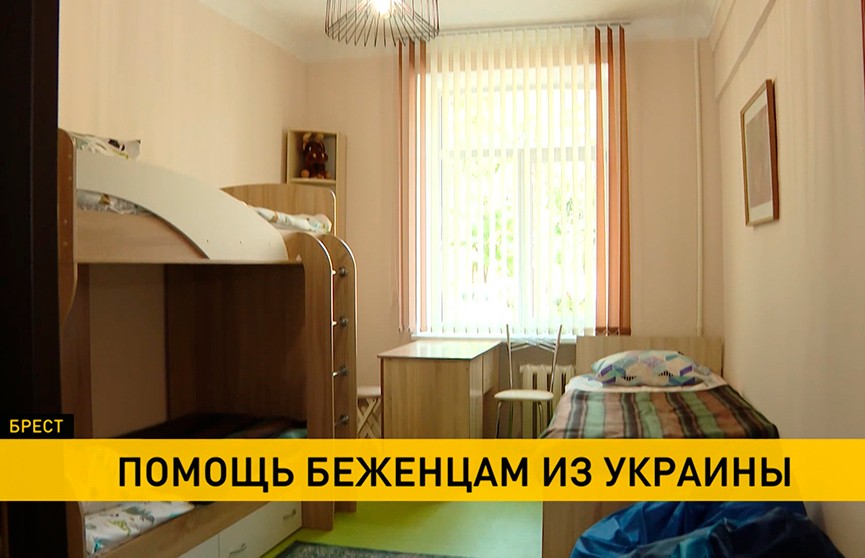 Трансплантация почки, уход за новорожденными и новое жилье: как в Беларуси помогают украинским беженцам