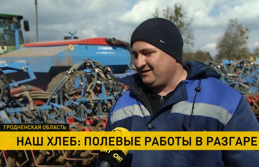 В белорусских регионах стартовала массовая посевная