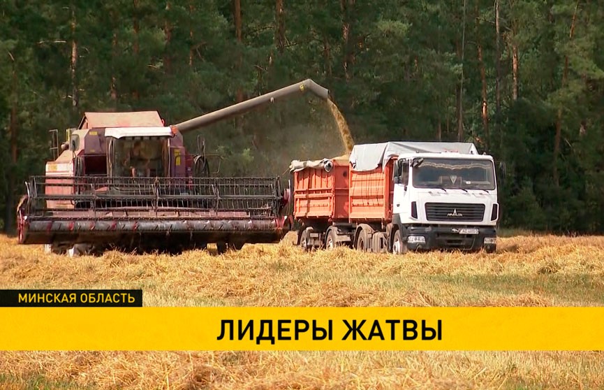 Экспериментальная база Котовского, несмотря на сложность почвы, собирает хороший урожай