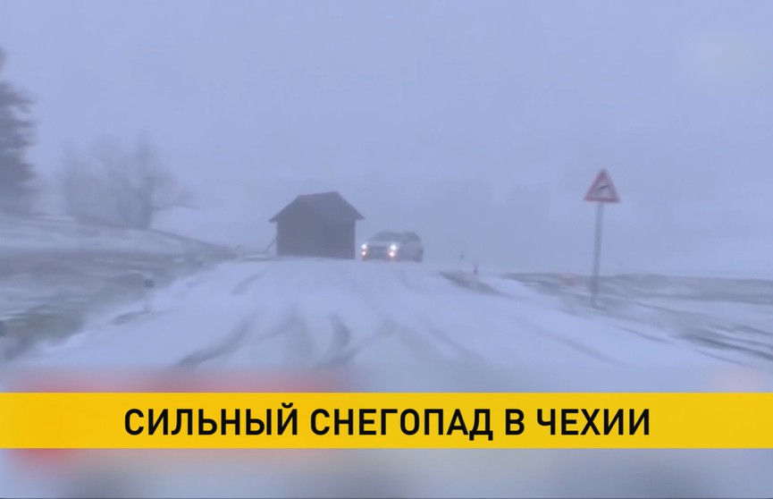 Снегопад в Чехии: температура упала больше чем на 20°C, тревогу бьют фермеры