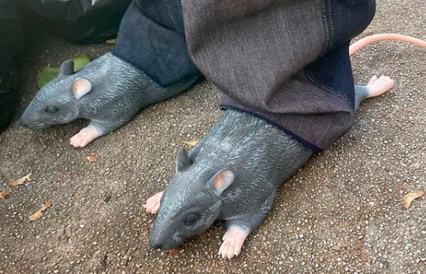 В интернете обсуждают новинку от американского дизайнера – ботинки-крысы