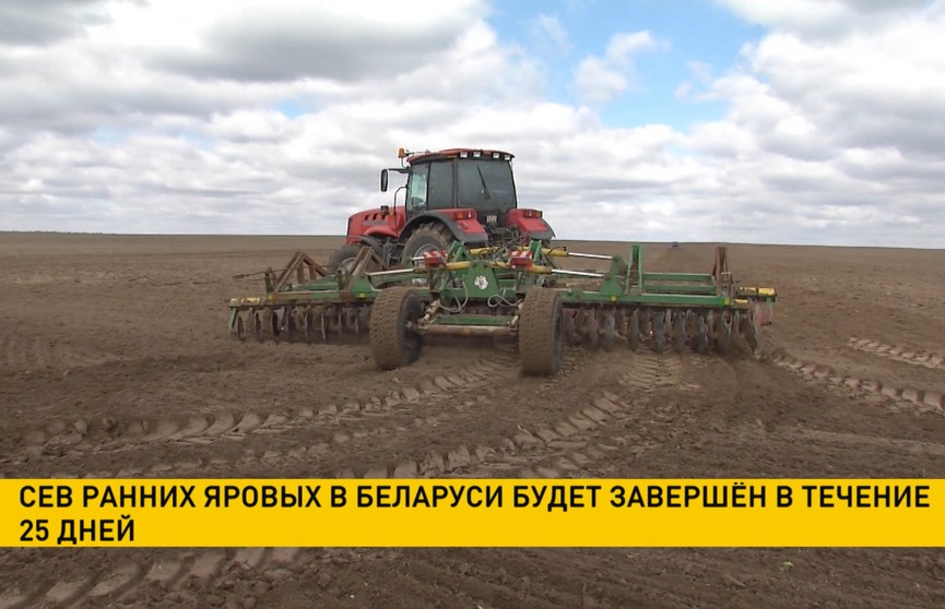 Сев ранних яровых в Беларуси завершится в течение 25 дней