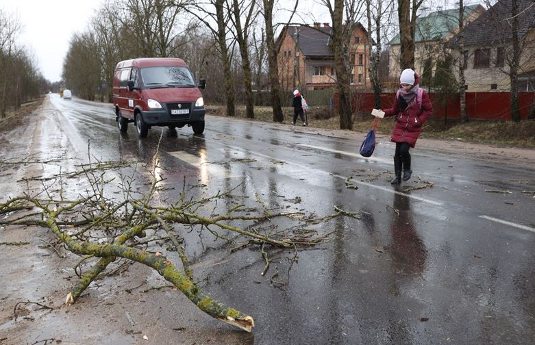 На 19 февраля  в Беларуси объявлен красный уровень опасности из-за ветра. Будьте осторожны!