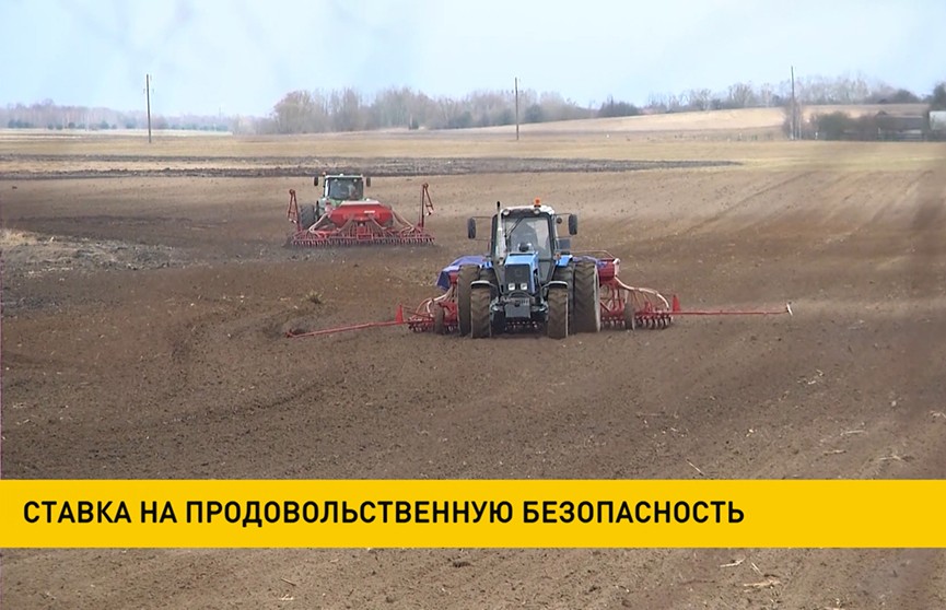 Ставка Беларуси на продовольственную безопасность – работы в полях не прекращаются весь световой день