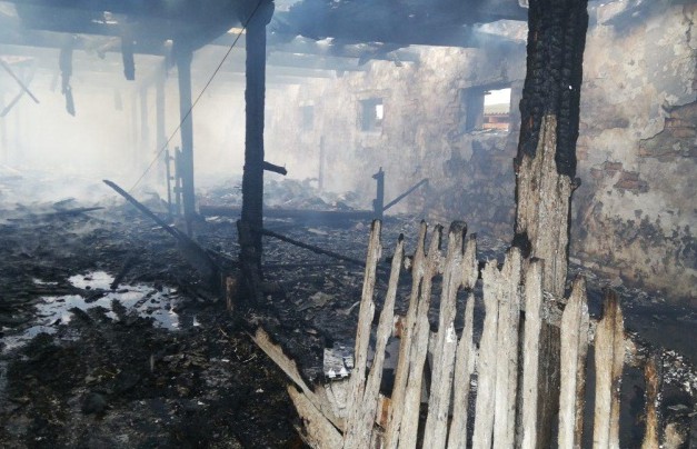 36 телят погибли на пожаре в Столинском районе