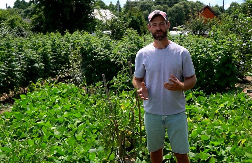 Как ускорить созревание помидоров, рассказал садовник Кастрицкий