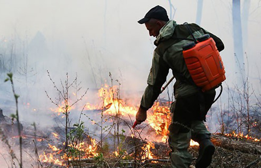 В Беларуси за сутки потушили 34 лесных пожара