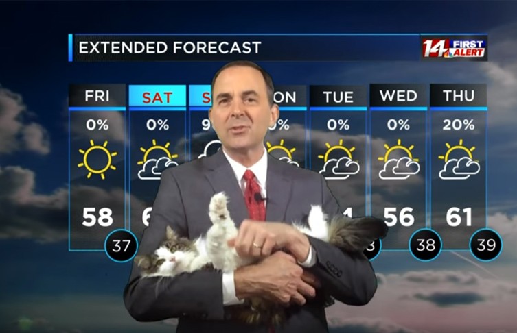 Ведущий прогноза погоды записал выпуск с кошкой на руках и стал популярным (ВИДЕО)