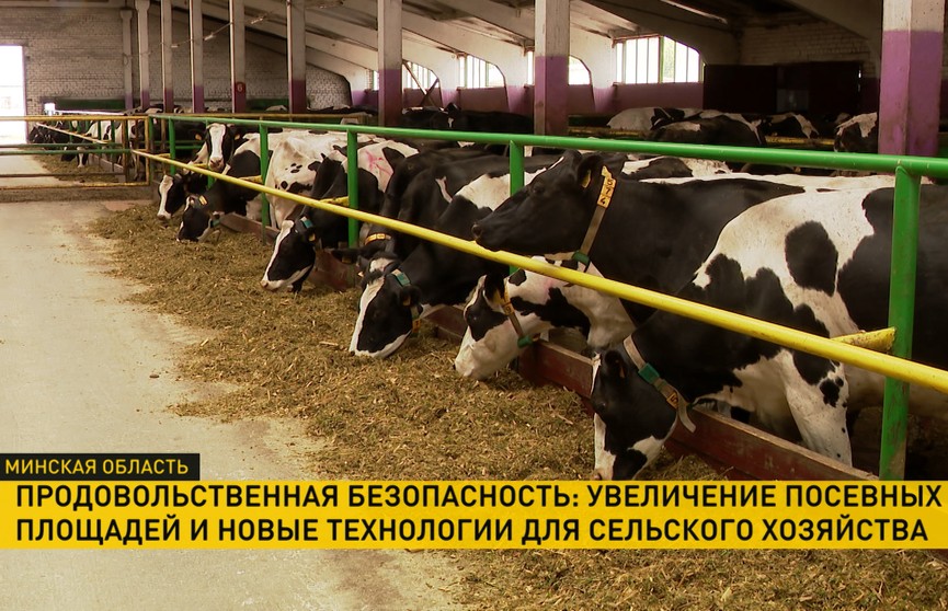 Продовольственная безопасность – приоритет для Беларуси: на «Козловичи-Агро» наращивают производство молока и внедряют современное оборудование