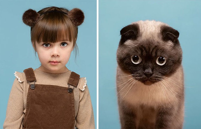 Фотограф из Лондона показал, как сильно похожи кошки и люди