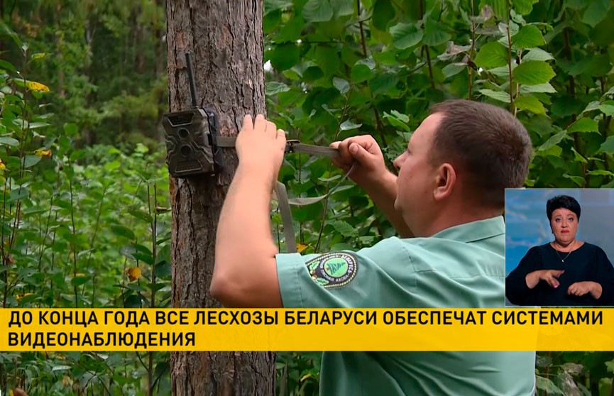 До конца года все лесхозы Беларуси обеспечат системами видеонаблюдения