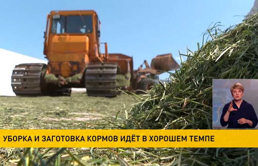 Минсельхозпрод: более 75% кормовых трав уже убрано
