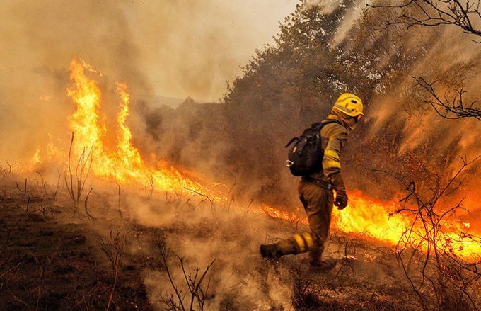 Сильный лесной пожар на северо-востоке Испании: огнём уничтожено около 2,5 тыс. га леса