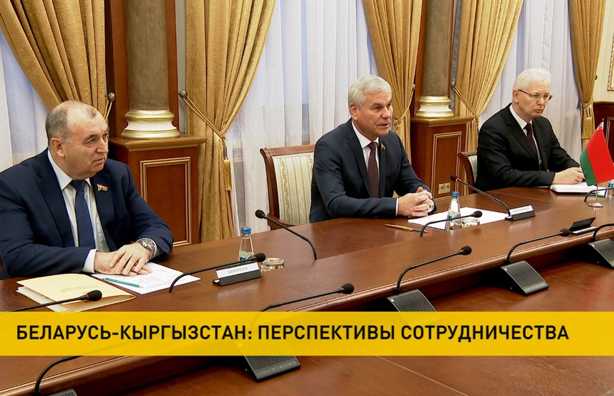 Андрейченко встретился с Чрезвычайным и Полномочным Послом Кыргызстана в Беларуси
