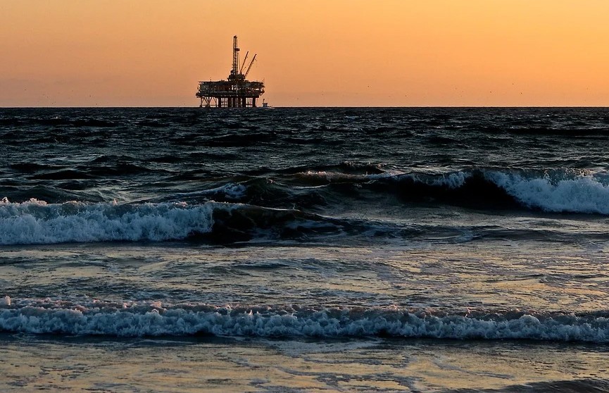 В Калифорнии произошел разлив нефти, погибли животные