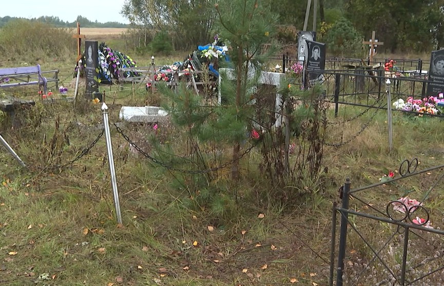 В деревне Рогачи коровы разгромили кладбище