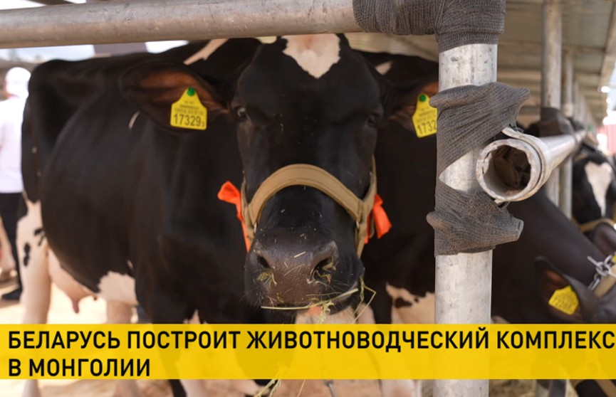 Беларусь построит в Монголии животноводческий комплекс