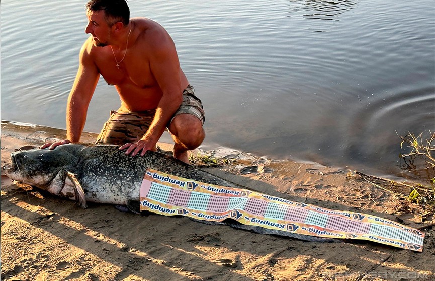 Белорус поймал на Припяти сома длиной более двух метров