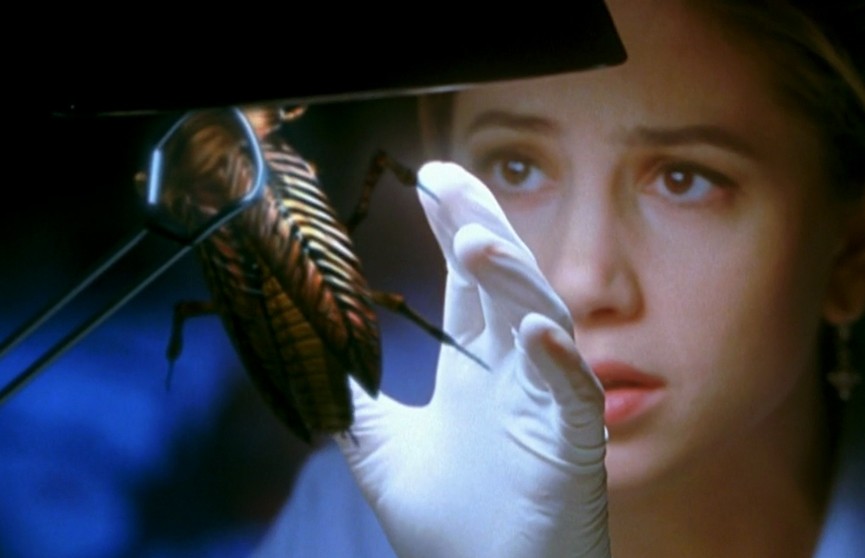В Испании ожидается нашествие тараканов с генетическими мутациями