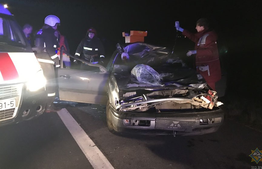 Автомобиль и лось столкнулись под Минском: пострадал пассажир
