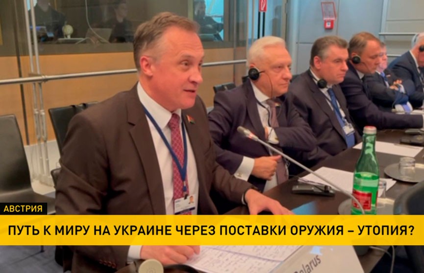 Белорусская делегация на сессии ОБСЕ: искать выход из конфликта, накачивая Украину оружием – утопия
