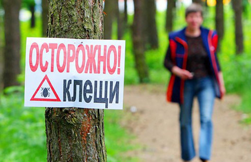 Санэпидемслужба показала на карте, где обитает больше всего клещей в Минске