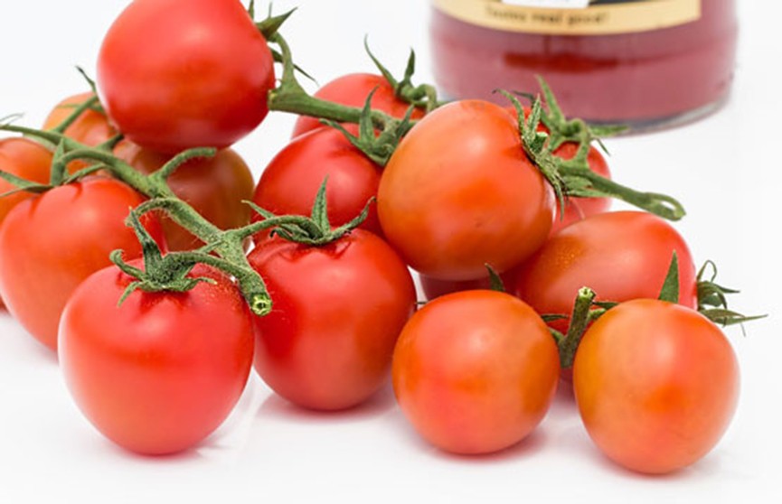 Учёные выяснили, как кетчуп влияет на человека