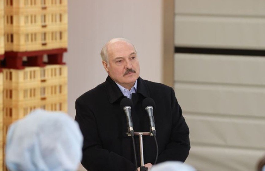 Лукашенко о героизации нацизма: Мы этого «добра» хлебнули