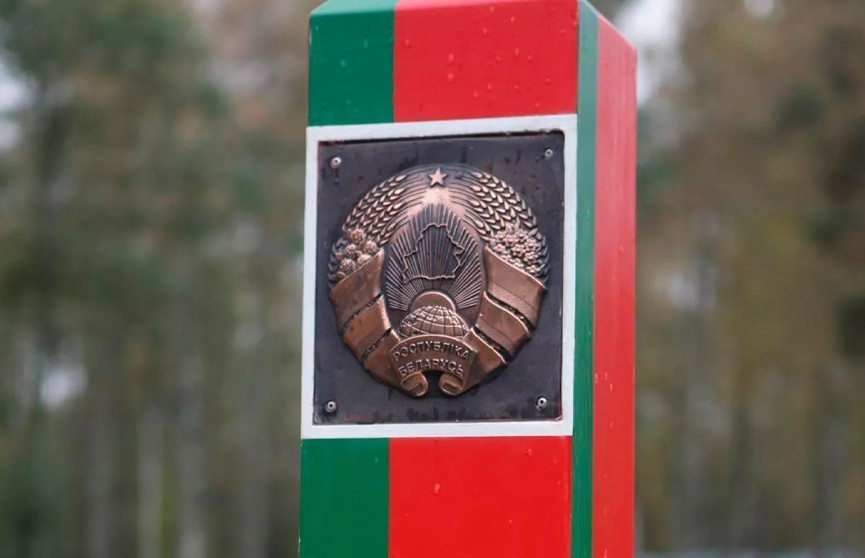 Президент Литвы: будет неправильно устроить кампанию по закрытию КПП на границе с Беларусью