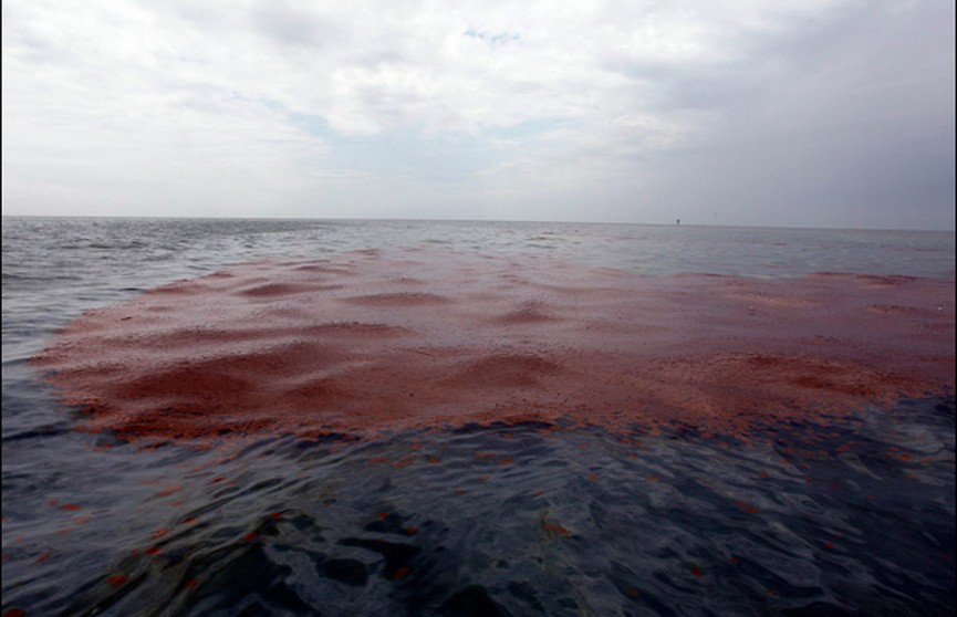 У берегов Канады произошёл разлив нефти