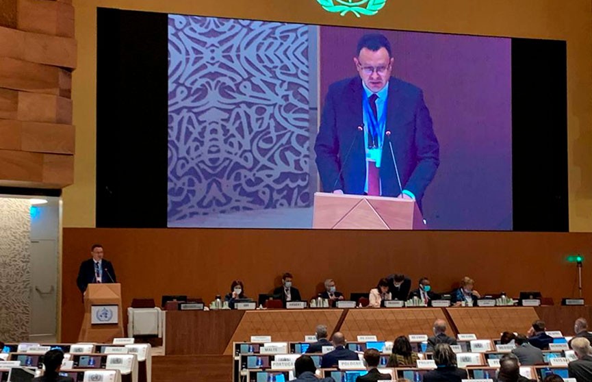 Дмитрий Пиневич выступил на заседании Всемирной ассамблеи здравоохранения