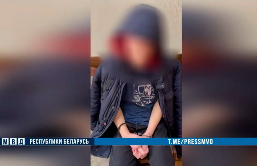 В Минске за совращение 11-летней девочки задержан студент-педофил