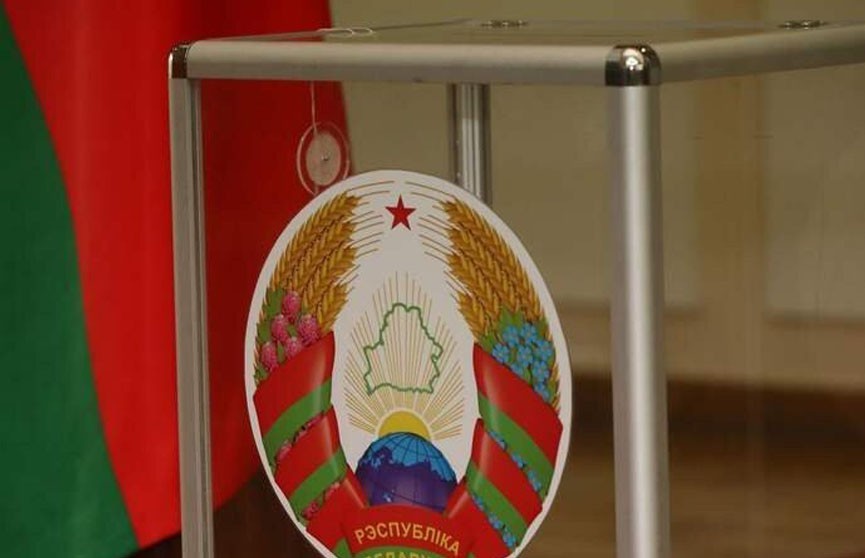 ВЫБОРЫ-2020. Более 87% населения Беларуси планирует принять участие в президентских выборах – соцопрос