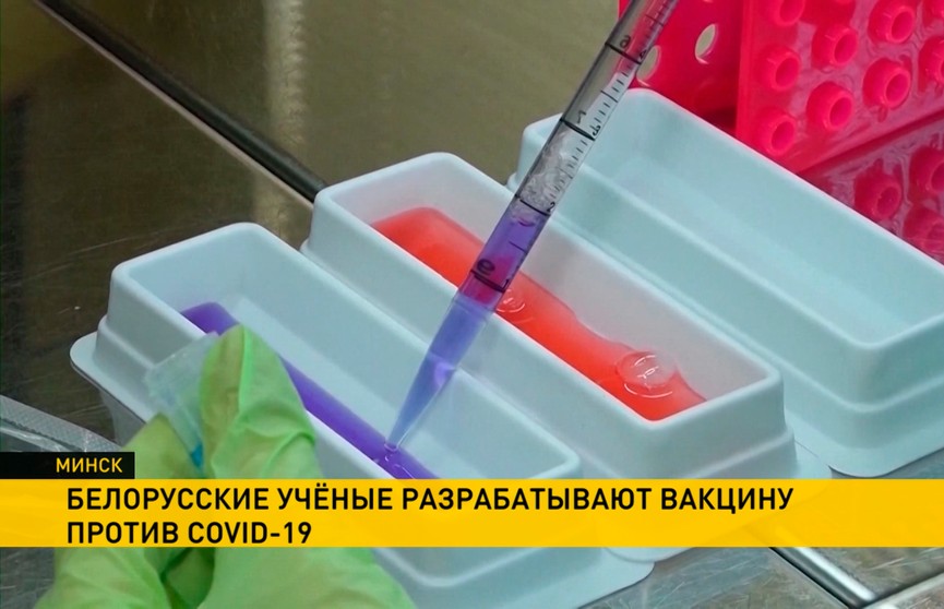 В Академии наук приступили к созданию вакцины от COVID-19