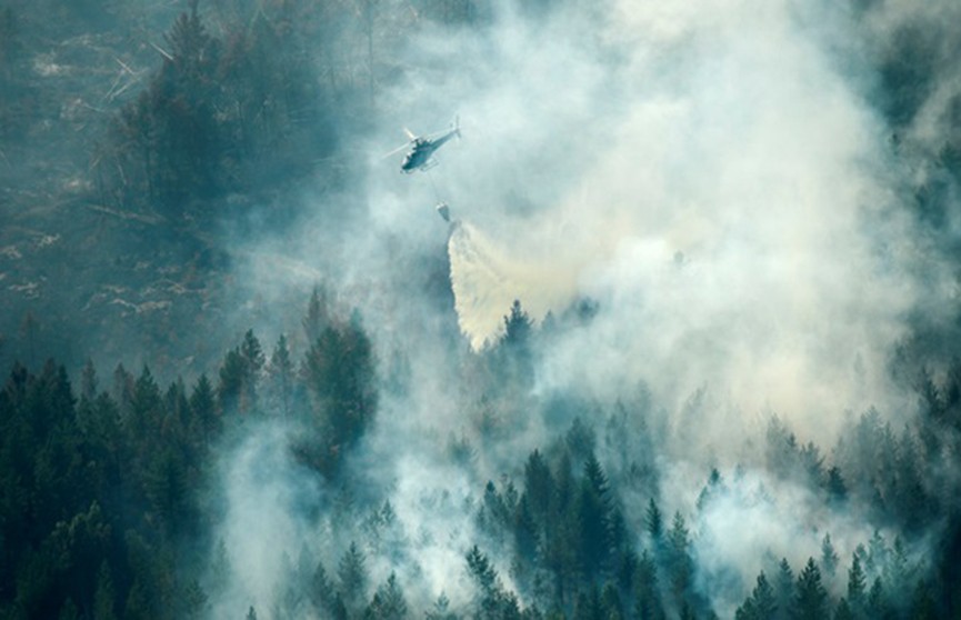 В Швеции не хватает ресурсов, чтобы потушить самые крупные лесные пожары