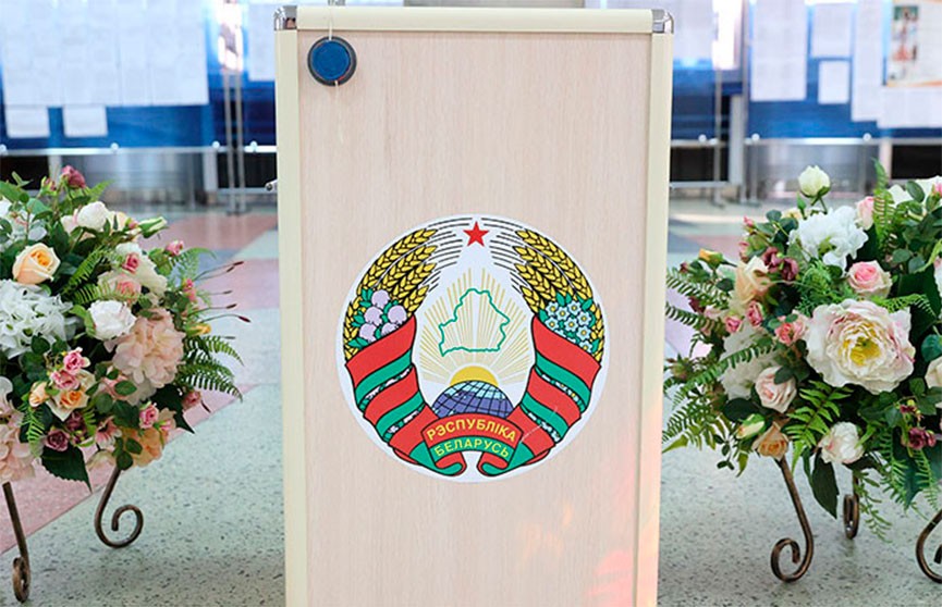 У мониторинговой группы МПА СНГ нет замечаний к ходу голосования на выборах Президента Беларуси