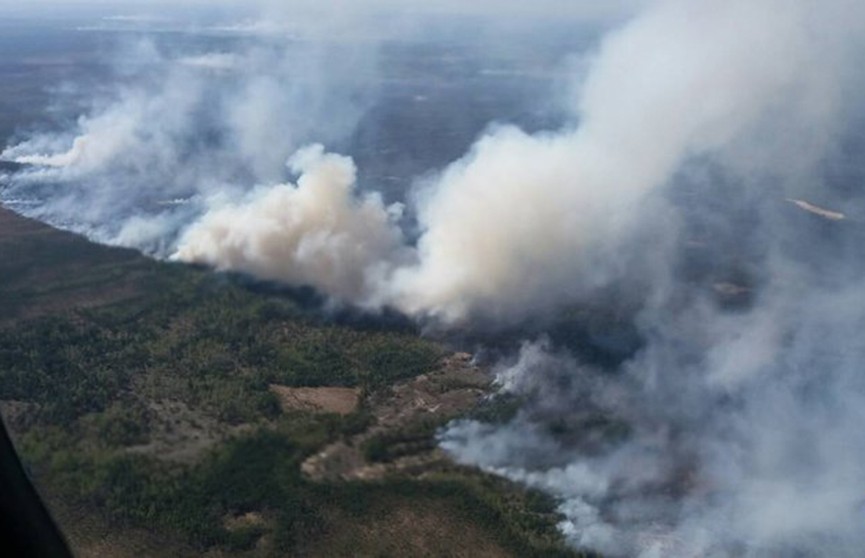 Пожар на Ольманских болотах ликвидировали