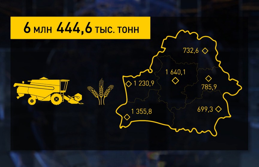 Жатва-2022: намолочено почти 6,5 млн тонн зерновых