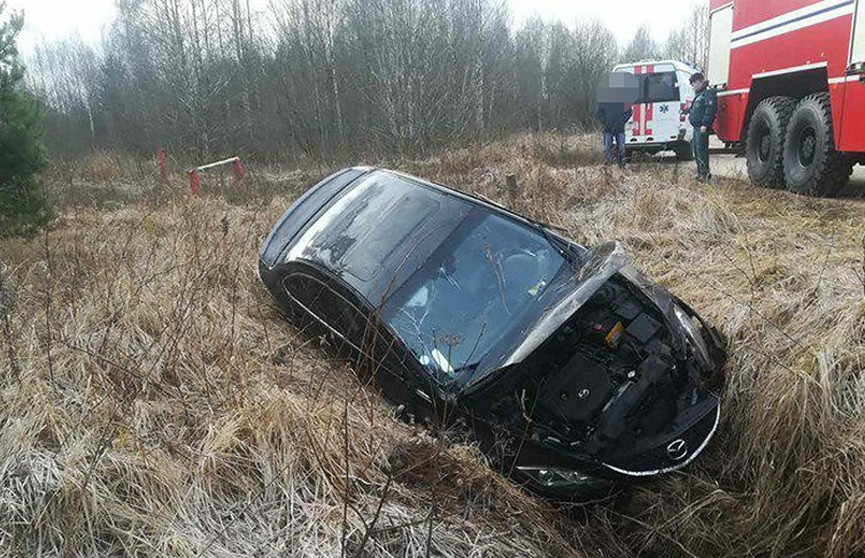 Автомобиль с тремя пассажирами вылетел в кювет в Городокском районе