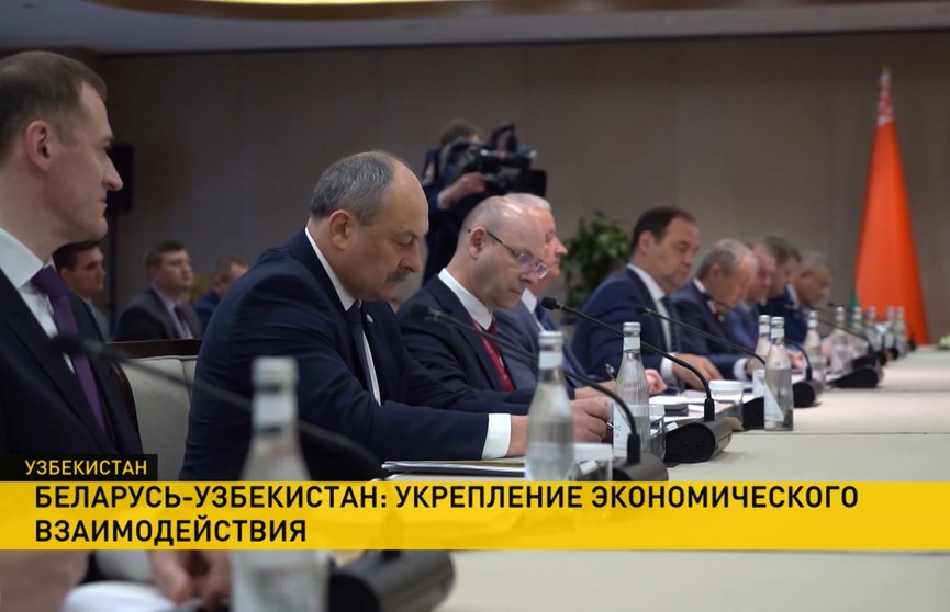 Какие контракты подписала белорусская делегация в Узбекистане? Итоги поездки Романа Головченко