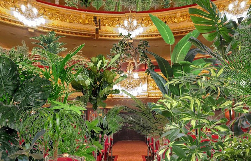 Оперный театр Испании проведет концерт для растений